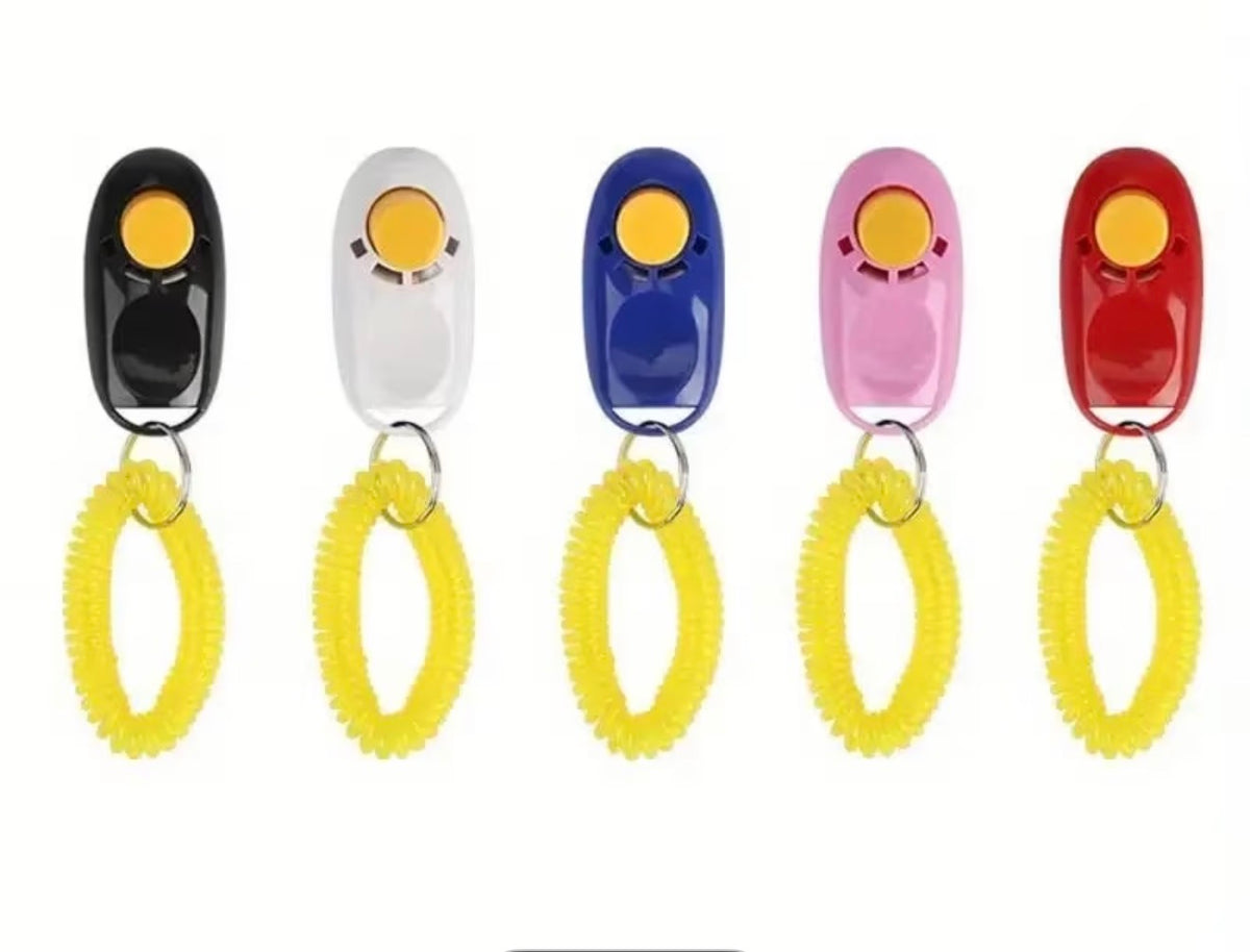 Clicker fürs Training