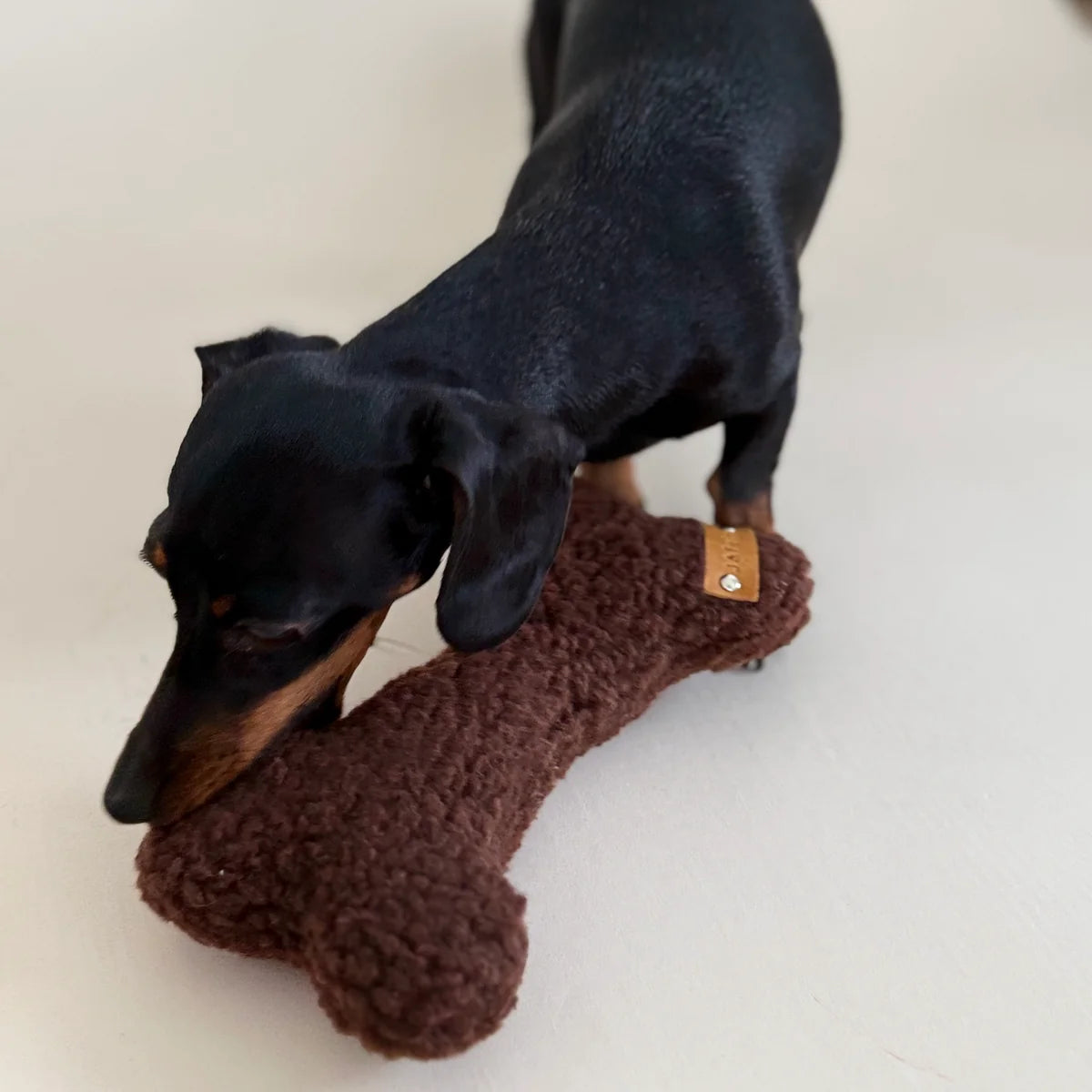 Spielzeug-Knochen Teddy