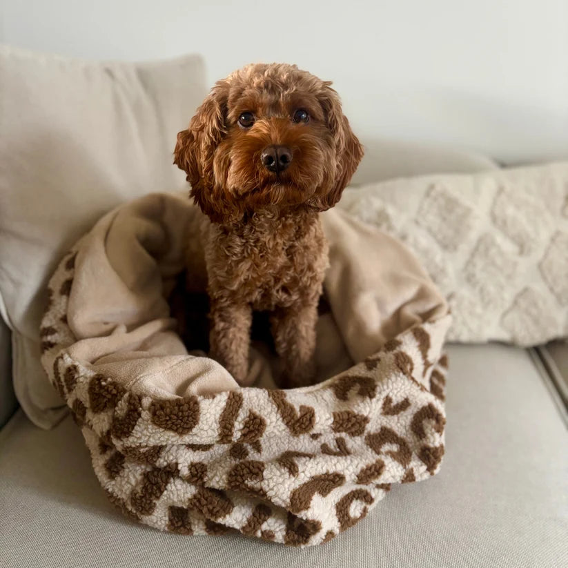 Kuschelnest - LEO