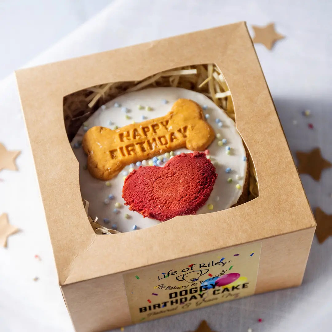 Hundekuchen zum Geburtstag