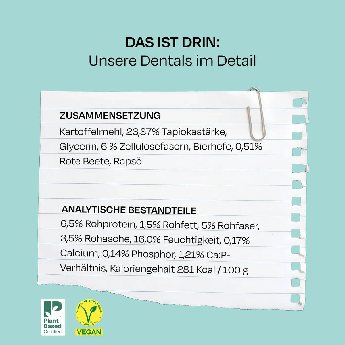 Dentals XL