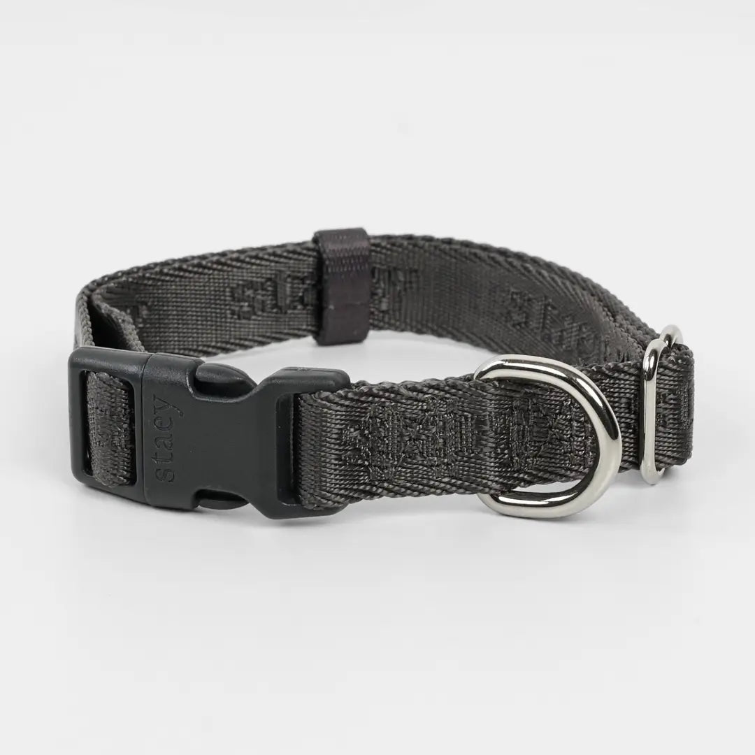 Riemen-Halsband ELMA - Strom