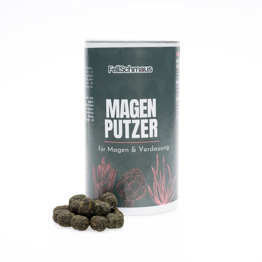 Magen Putzer