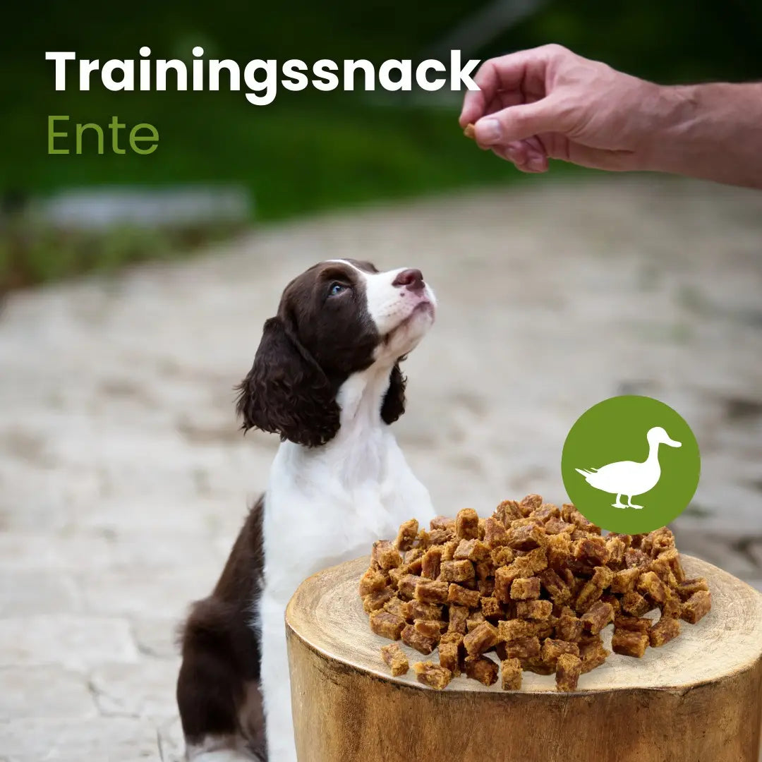 Trainingssnack Ente
