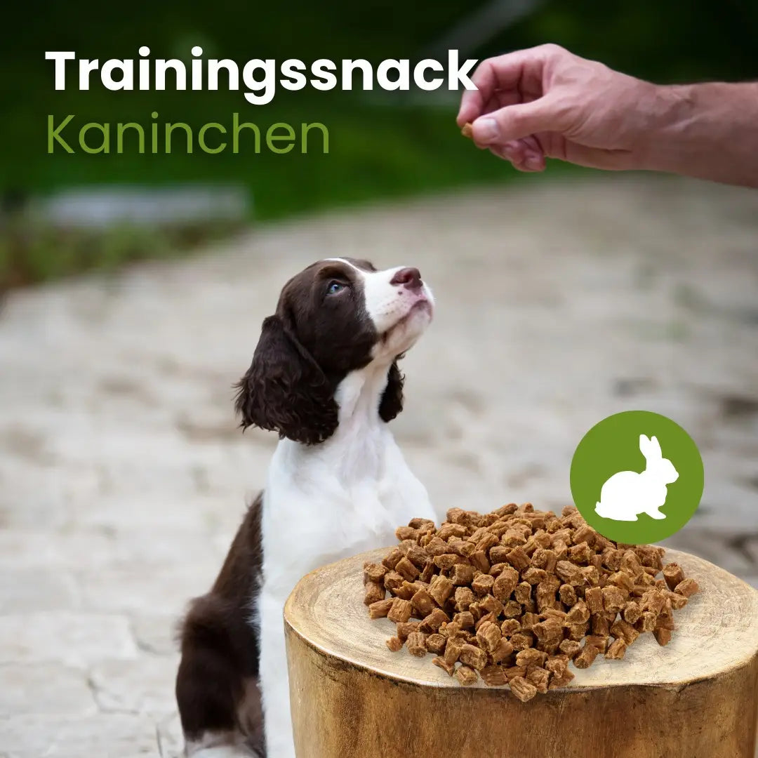 Trainingssnack Kaninchen
