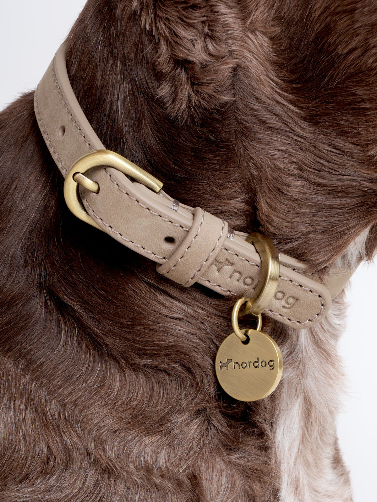 Halsband THOMAS aus Nubukleder