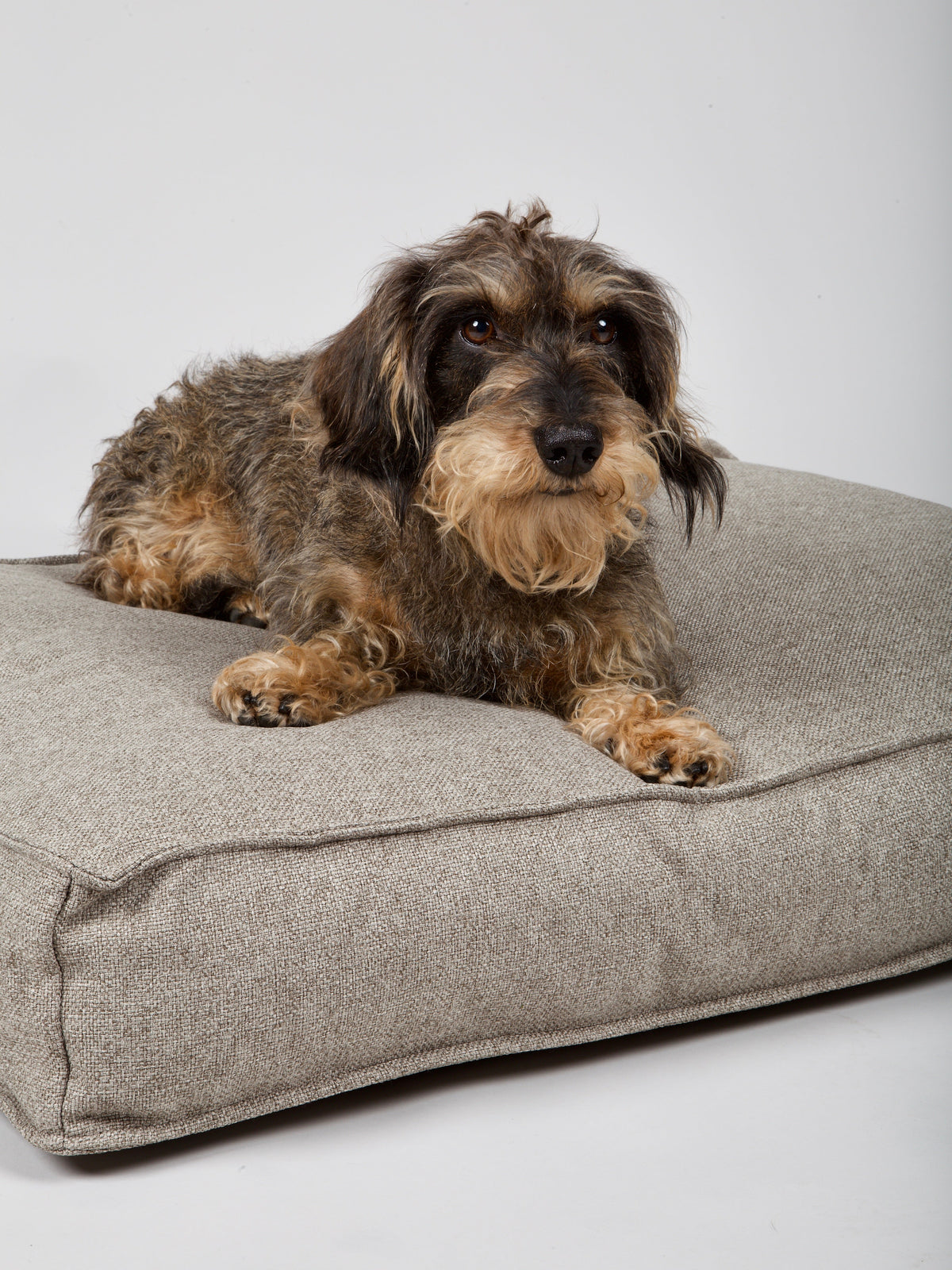 Hundebett - Hygge