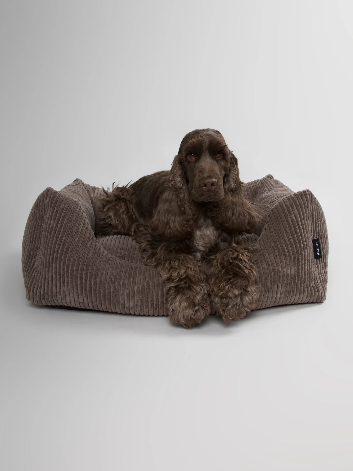 Hundebett Cord - Oscar