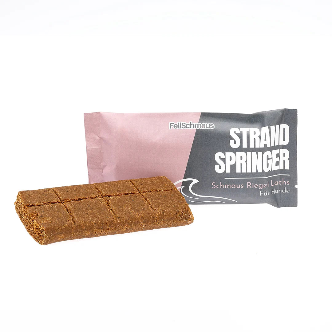Schmaus Riegel Strand Springer