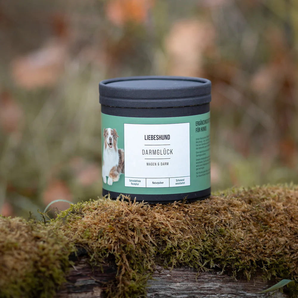 Naturpulver DARMGLÜCK