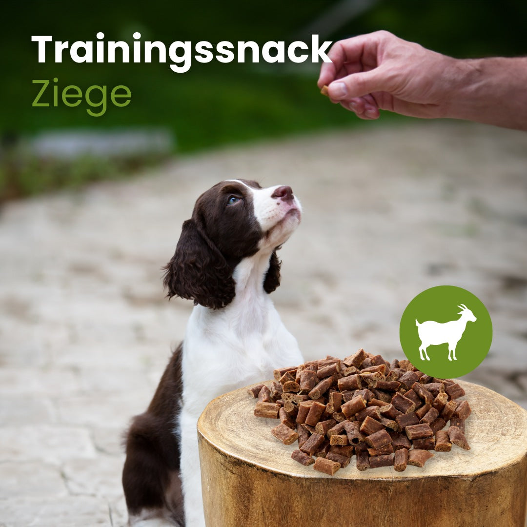 Trainingssnack Ziege